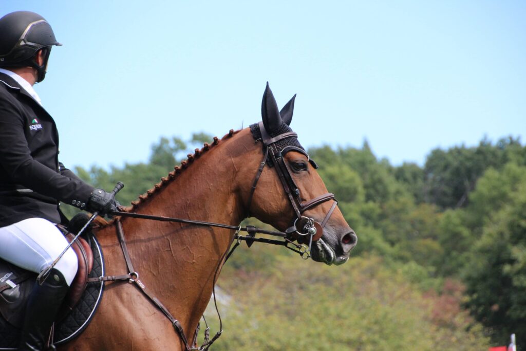 pourquoi porter une bombe d'équitation